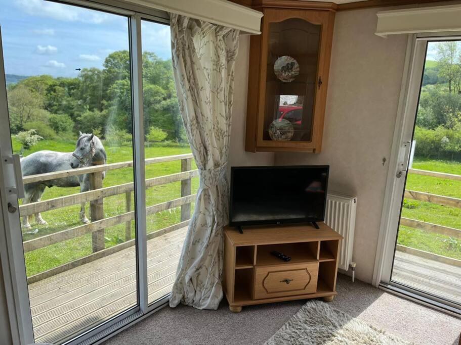 Farm Stay Caravan On Working Farm Dacre  Extérieur photo